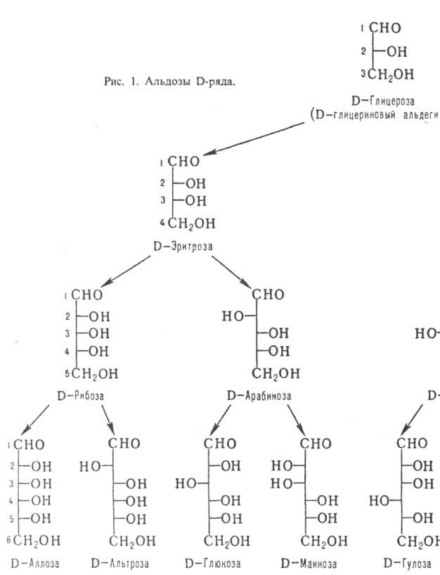 Альдозы D-ряда