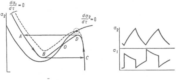 Автоколебания в модельной ферментативной системе