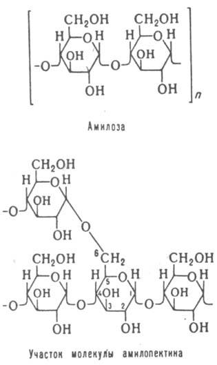 Амилоза, участок молекулы амилопектина